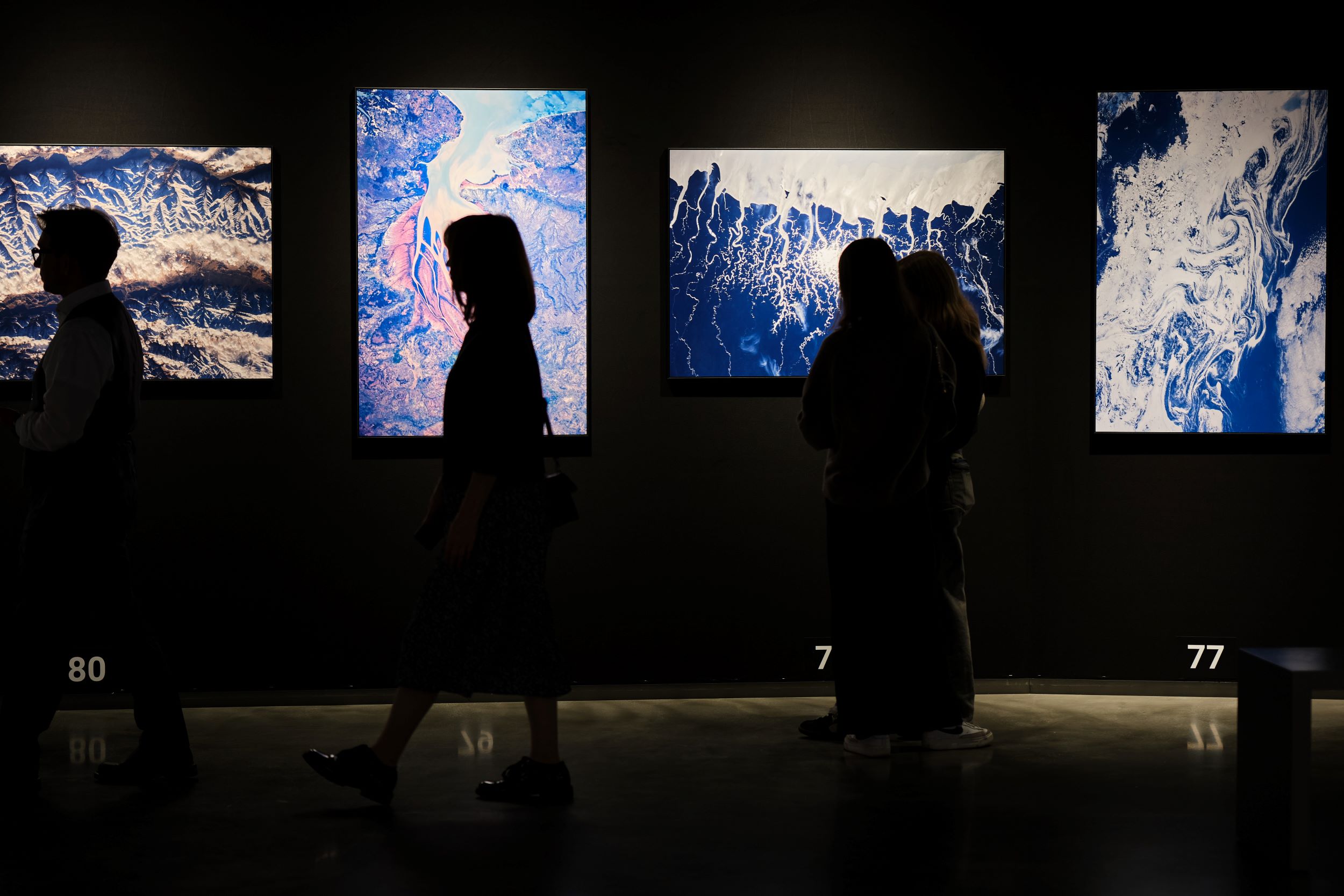 The Art Fair Guy Exhibition - View From Above